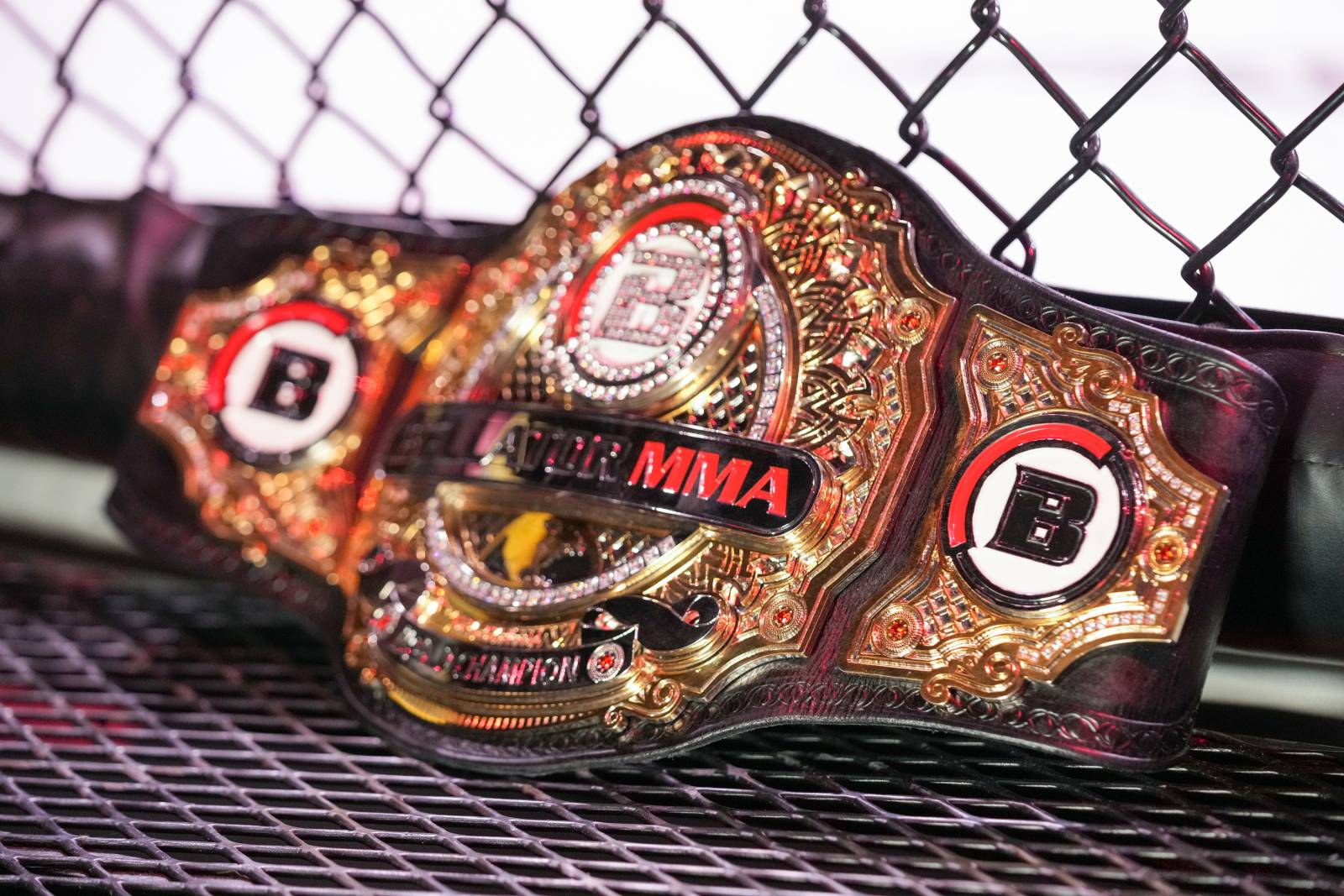 Bellator официально анонсировал чемпионский бой Амосов - Пэйдж