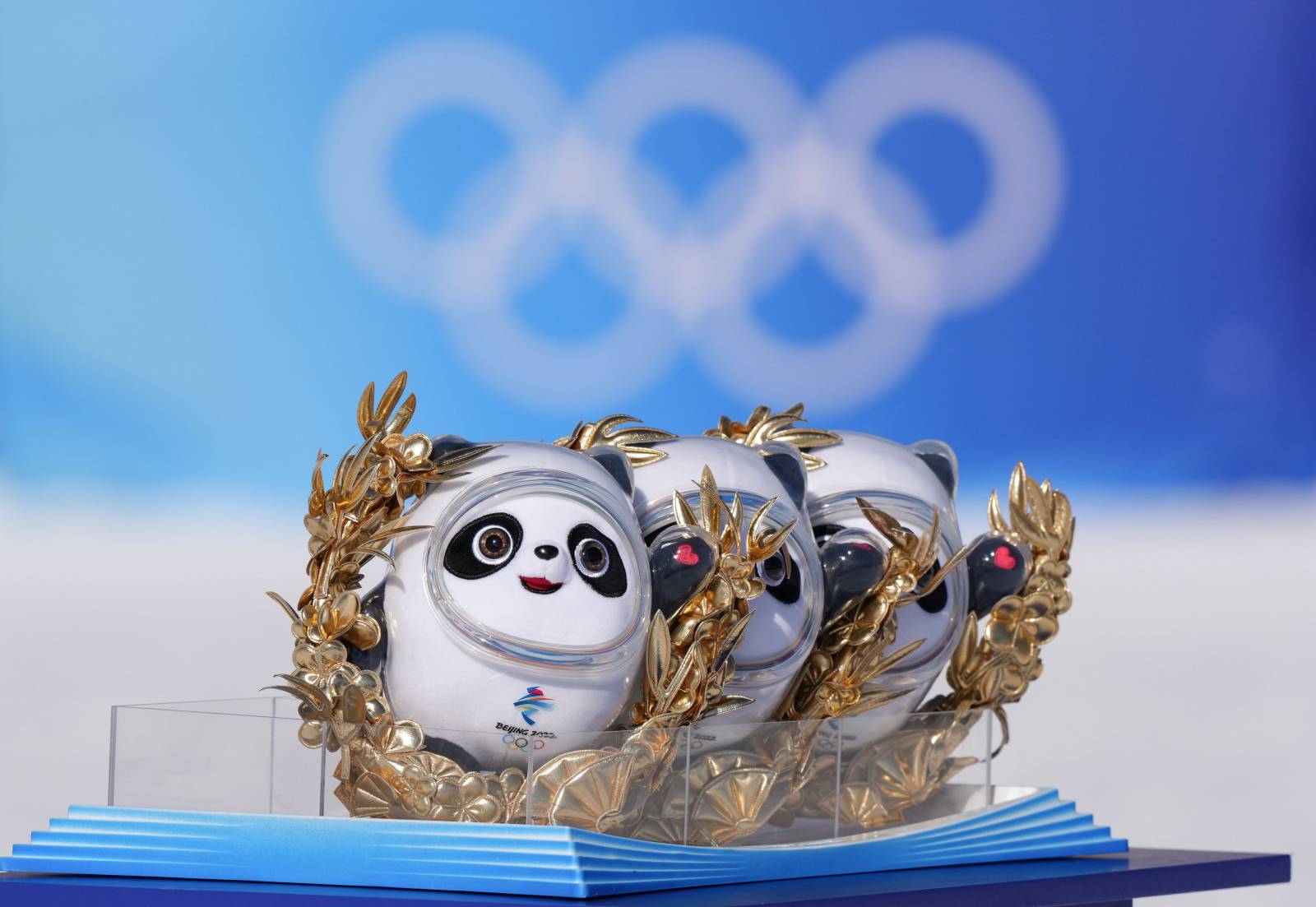Сноуборд, мужской хафпайп на Олимпиаде в Пекине: где смотреть онлайн