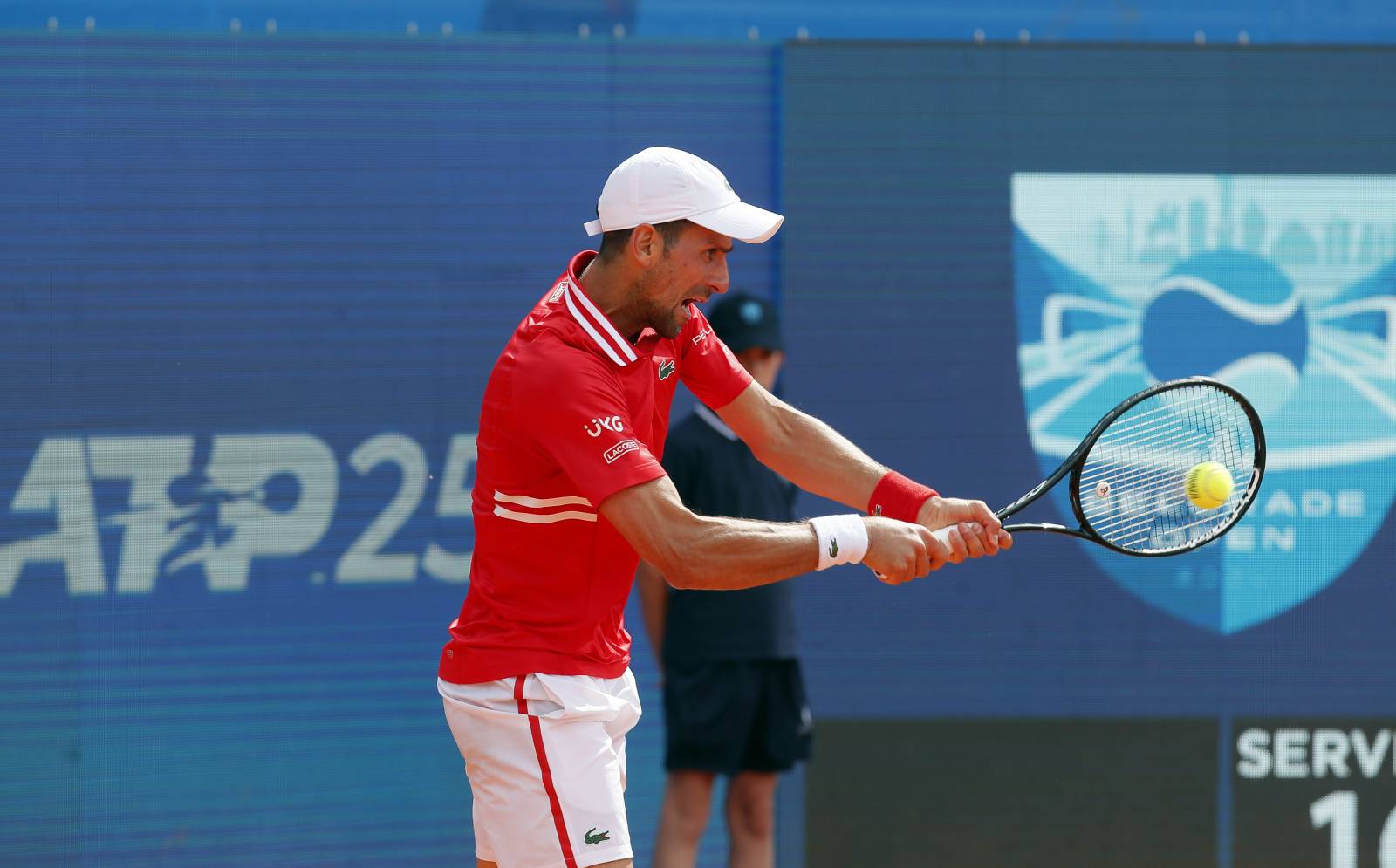 Liveresult ru прямые спортивные. Новак Джокович красивое.