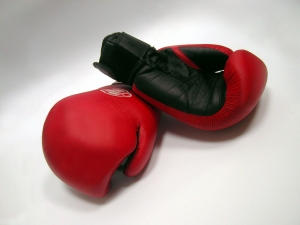 Всемирная боксерская ассоциация обязала Лебедева провести защиту титула против Дортикоса