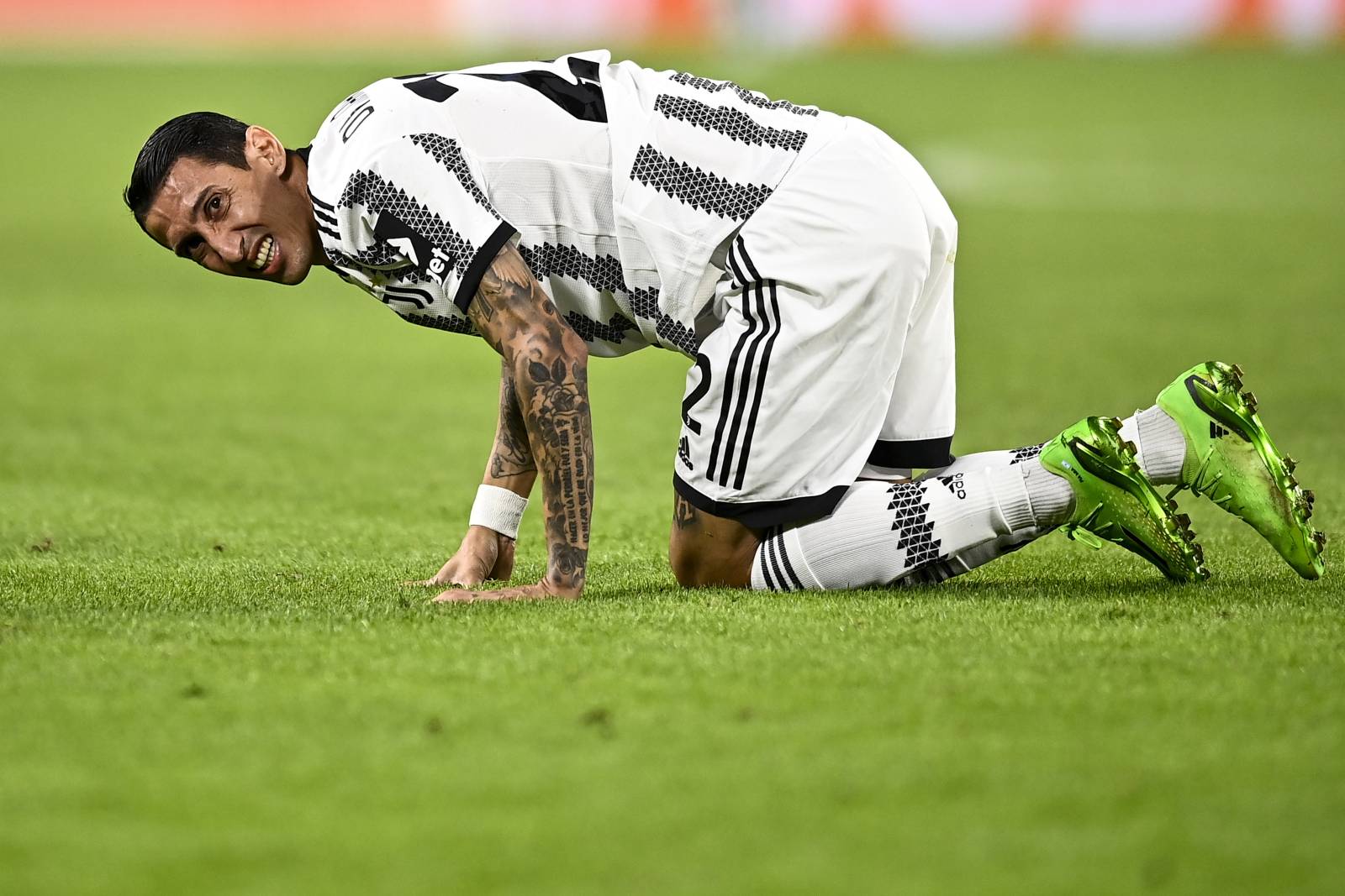 Ювентус – Маккаби Хайфа: прямая трансляция, где смотреть матч онлайн ...