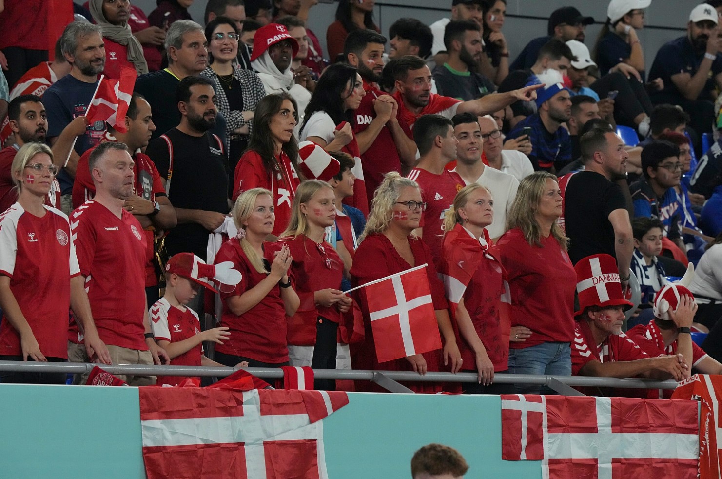 Австралия – Дания: прямая трансляция, где смотреть матч онлайн