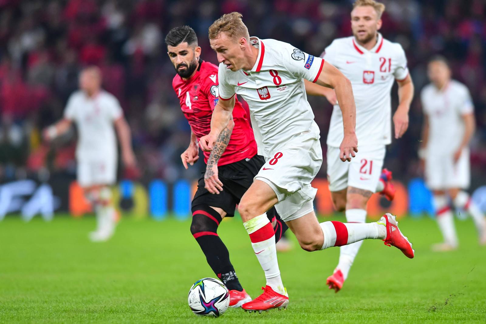 Польша – Албания: прямая трансляция, где смотреть матч онлайн