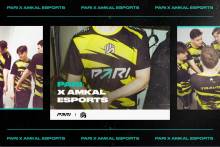 PARI — титульный спонсор киберспортивной команды AMKAL ESPORTS