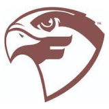 Fairmont State Fighting Falcons