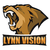 Lynn Vision Gaming