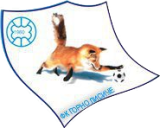 FK Gorno Lisice