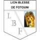 Lion Blesse