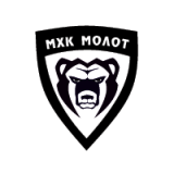 МХК Молот Пермь