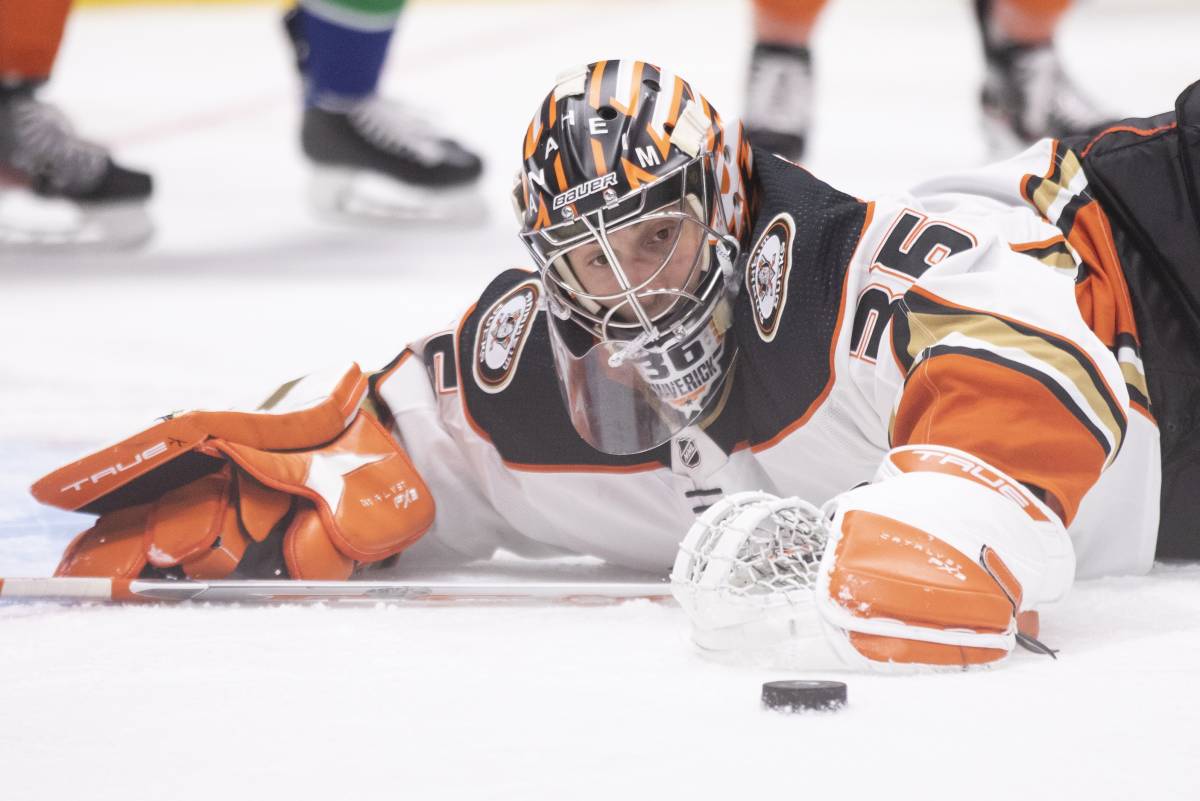 Anaheim Ducks — Florida Panthers: forecast and betting on the NHL match ...