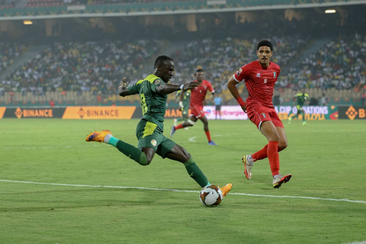 Камерун – Алжир: прогноз на матч квалификации на ЧМ-2022