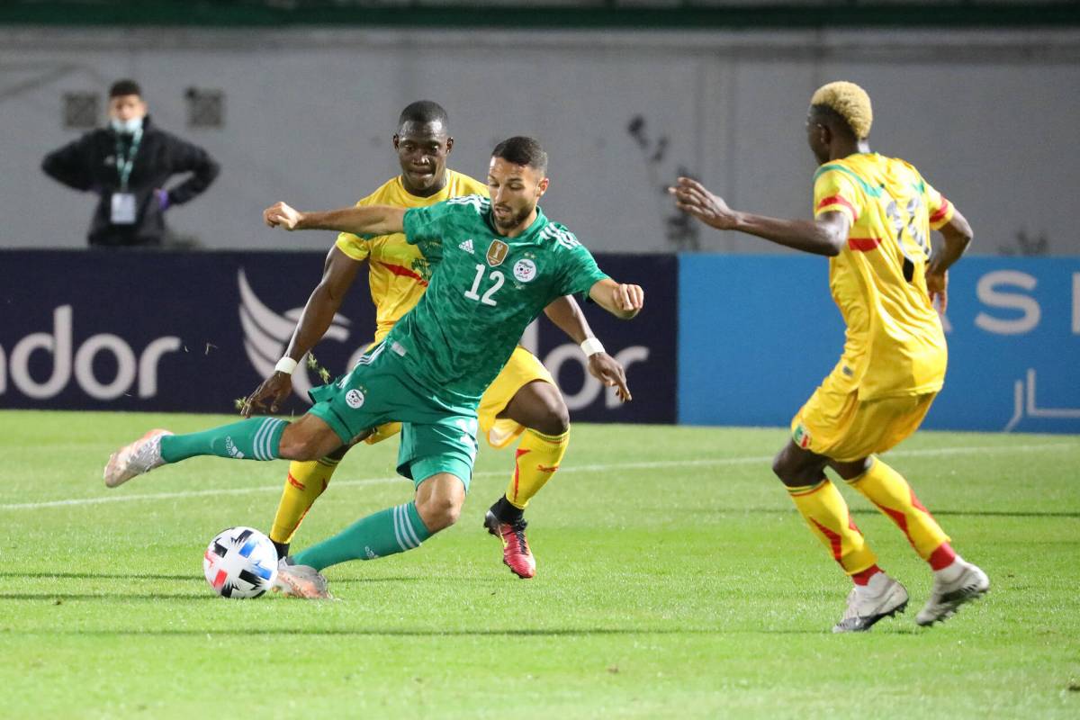 Алжир – Камерун: прогноз на матч квалификации к ЧМ-2022