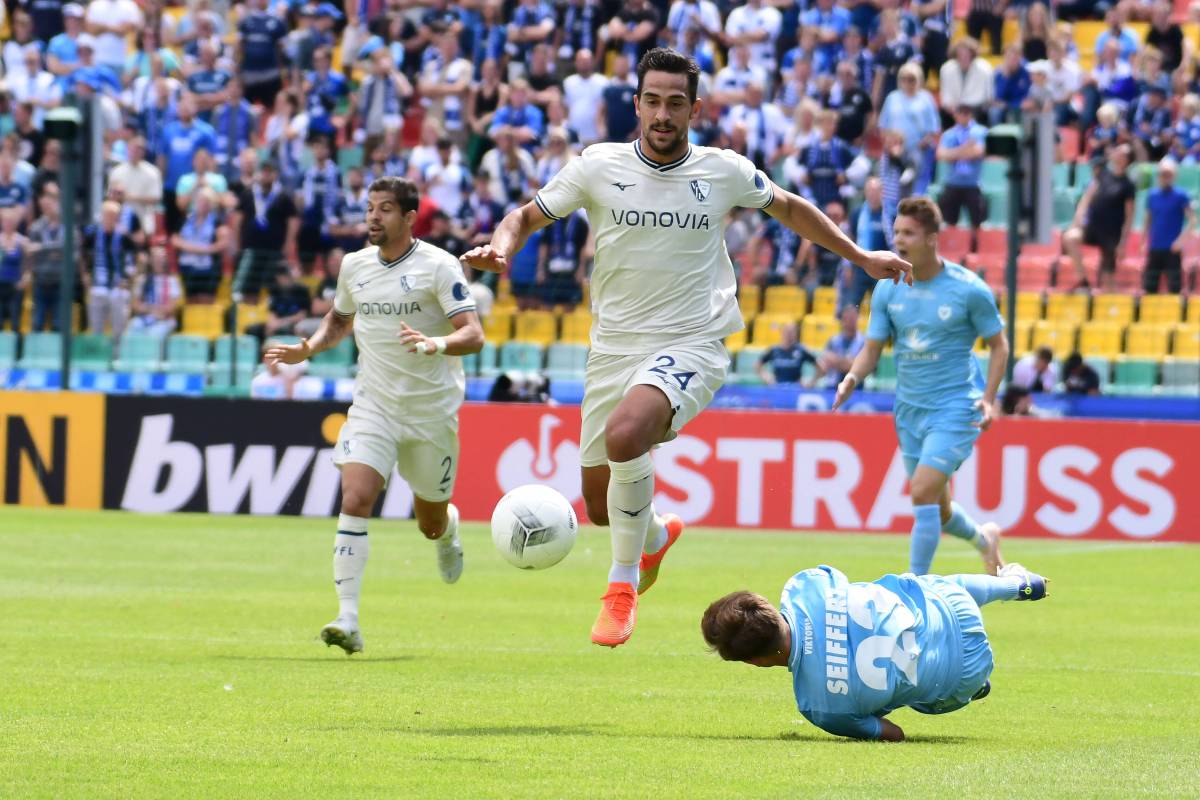 хоффенхайм бохум 13 августа. хоффенхайм бохум статистика личных встреч.