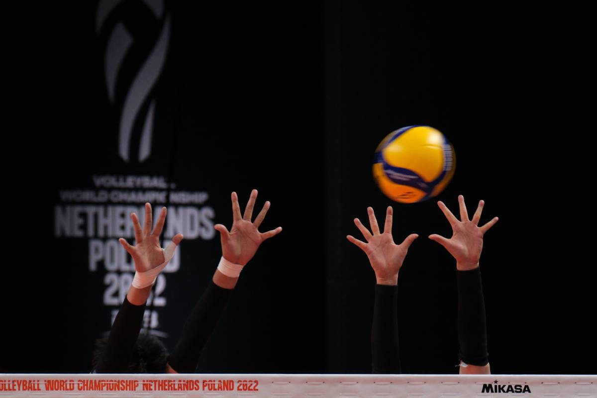 Puerto Rico (w) - Cameroon (w): forecast for the women's Volleyball World Cup group stage match
