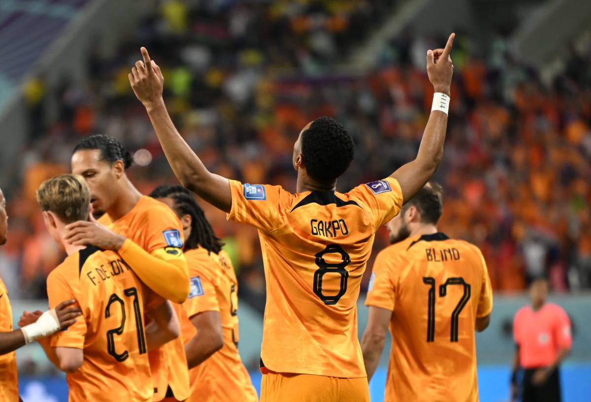 Нидерланды - Катар: уверенная ставка на матч чемпионата мира